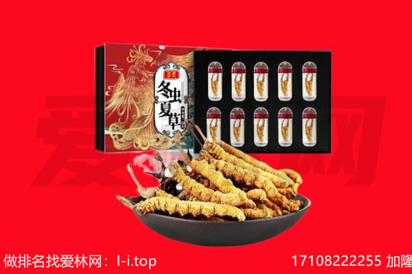 八步区回收虫草.jpg